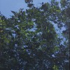 DSCF4110