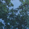 DSCF4126