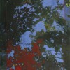DSCF4161