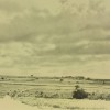 DSCF4211